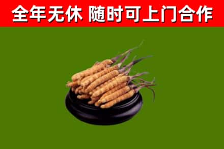 双塔区回收冬虫夏草